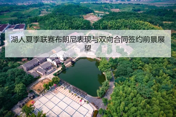 湖人夏季联赛布朗尼表现与双向合同签约前景展望
