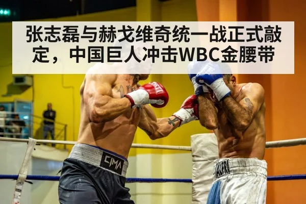 张志磊与赫戈维奇统一战正式敲定,中国巨人冲击WBC金腰带
